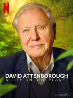 David Attenborough: Một Cuộc Đời Trên Trái Đất-David Attenborough: A Life on Our Planet