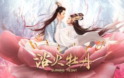 Dục Hỏa Mẫu Đan-Burning Beony