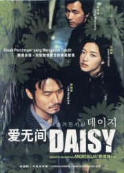 Hoa Cúc Dại - Daisy 