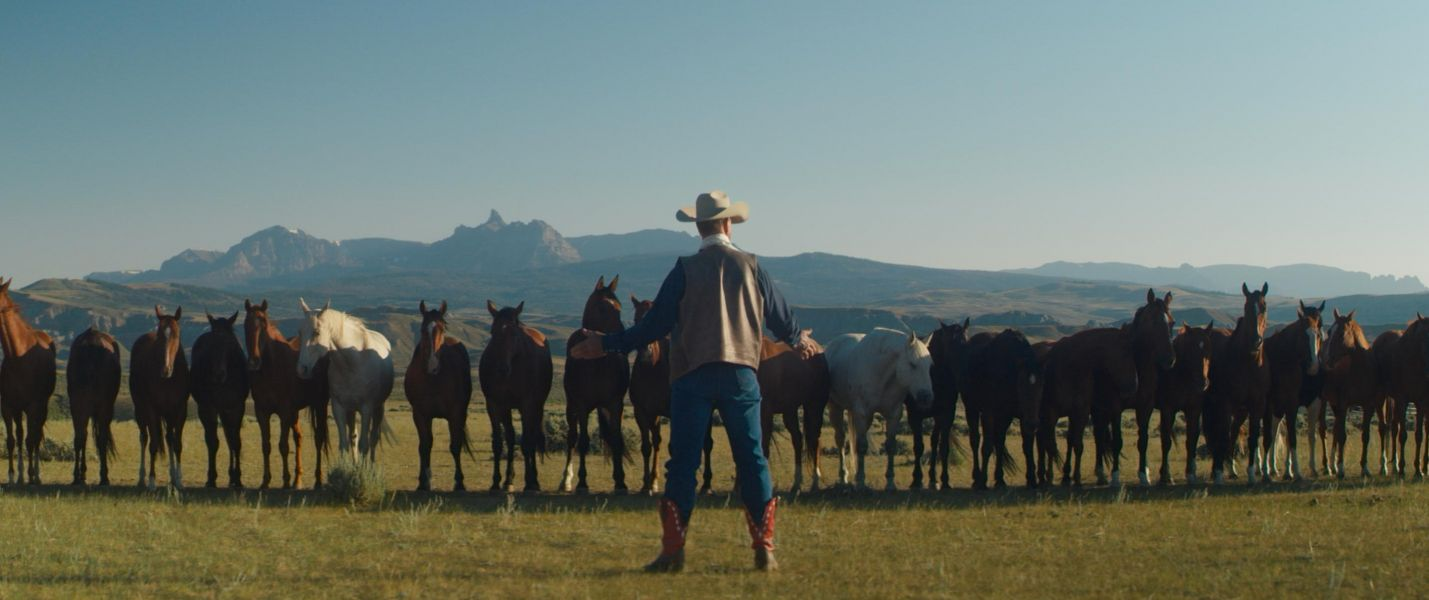 Người Hùng Cao Bồi Của Tôi-My Heroes Were Cowboys