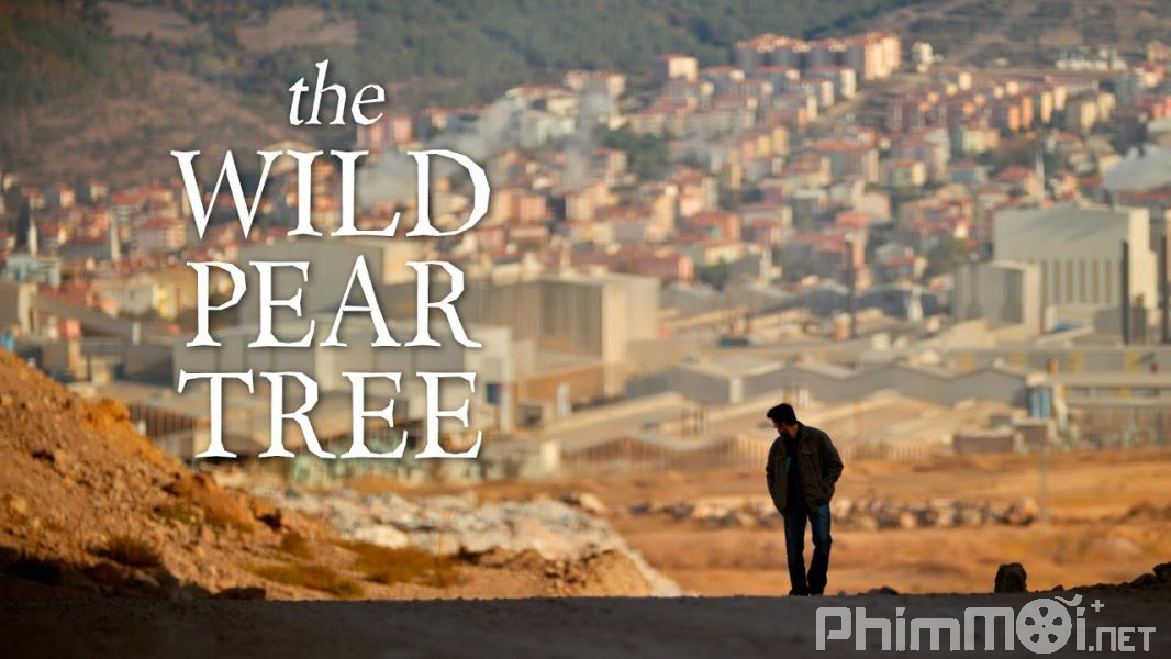 Cây Lê Dại-The Wild Pear Tree