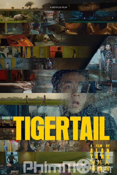 Hổ Vĩ-Tigertail